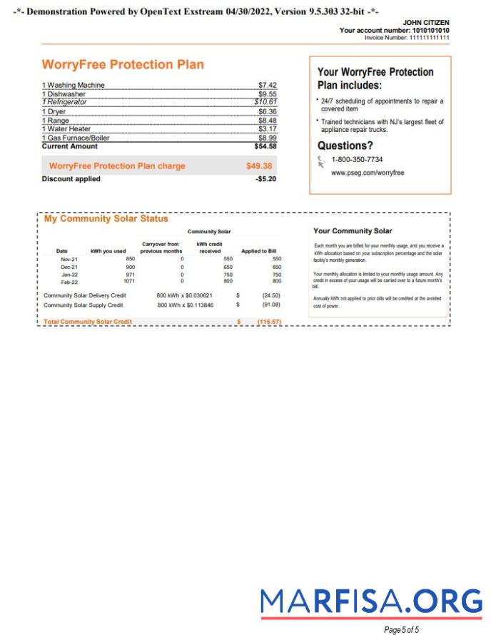 Blank USA New York PSEG utility bill, Word and PDF template, 5 pages 5